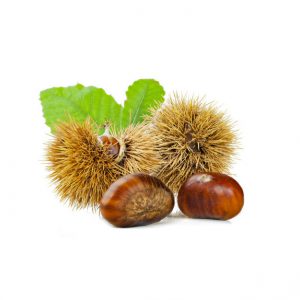 Castagne